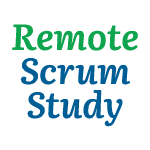 Remote Scrum Study